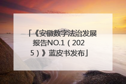 《安徽数字法治发展报告NO.1（2025）》蓝皮书发布