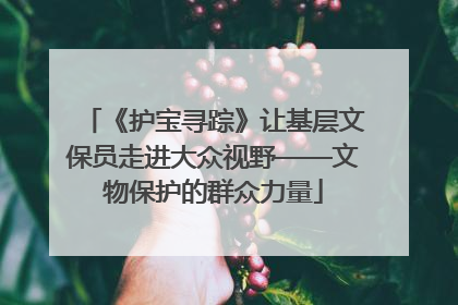 《护宝寻踪》让基层文保员走进大众视野——文物保护的群众力量