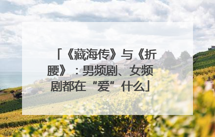 《藏海传》与《折腰》：男频剧、女频剧都在“爱”什么