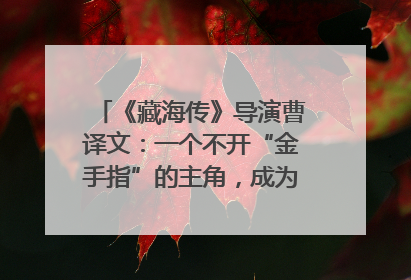《藏海传》导演曹译文：一个不开“金手指”的主角，成为苍生守护者