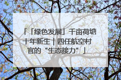 「绿色发展」千亩荷塘 十年新生｜四任航空村官的“生态接力”