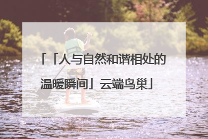「人与自然和谐相处的温暖瞬间」云端鸟巢
