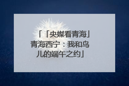 「央媒看青海」青海西宁：我和鸟儿的端午之约