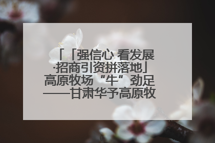 「强信心 看发展·招商引资拼落地」高原牧场“牛”劲足——甘肃华予高原牧场高标准奶牛肉牛养殖项目一线见闻