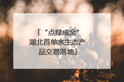 “点绿成金” 湖北首单水生态产品交易落地