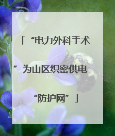 “电力外科手术”为山区织密供电“防护网”
