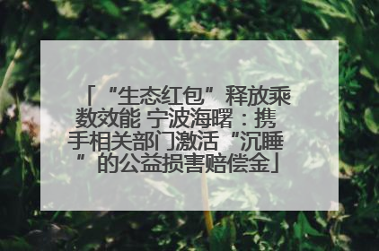 “生态红包”释放乘数效能 宁波海曙：携手相关部门激活“沉睡”的公益损害赔偿金