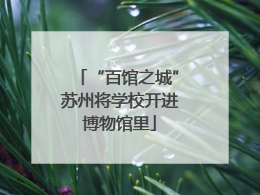 “百馆之城”苏州将学校开进博物馆里