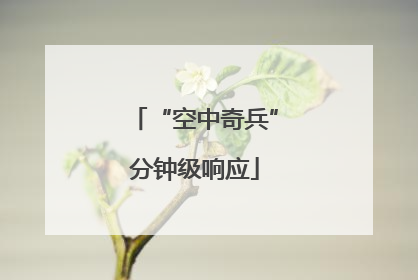 “空中奇兵”分钟级响应