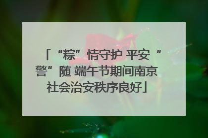 “粽”情守护 平安“警”随 端午节期间南京社会治安秩序良好
