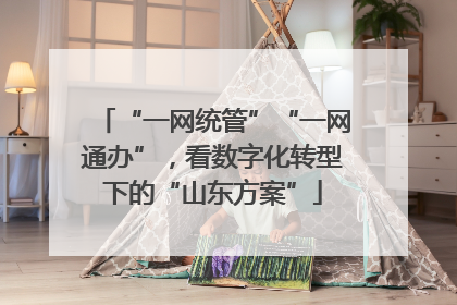 “一网统管”“一网通办”，看数字化转型下的“山东方案”