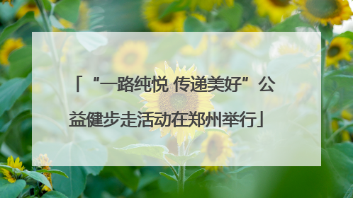 “一路纯悦 传递美好”公益健步走活动在郑州举行