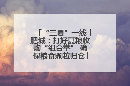 “三夏”一线丨肥城：打好夏粮收购“组合拳” 确保粮食颗粒归仓
