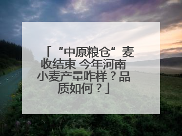 “中原粮仓”麦收结束 今年河南小麦产量咋样？品质如何？
