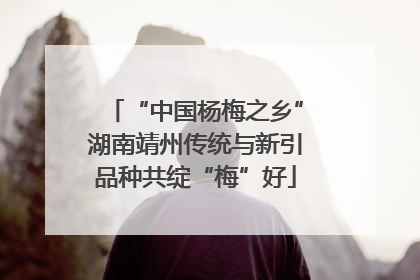 “中国杨梅之乡”湖南靖州传统与新引品种共绽“梅”好