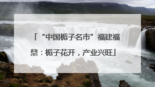 “中国栀子名市”福建福鼎：栀子花开，产业兴旺