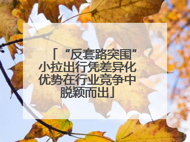 “反套路突围”小拉出行凭差异化优势在行业竞争中脱颖而出