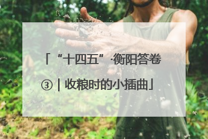 “十四五”·衡阳答卷③｜收粮时的小插曲