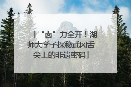 “卤”力全开！湖师大学子探秘武冈舌尖上的非遗密码