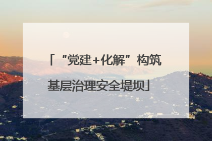 “党建+化解”构筑基层治理安全堤坝