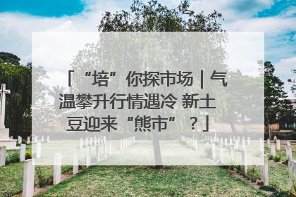 “培”你探市场｜气温攀升行情遇冷 新土豆迎来“熊市”？
