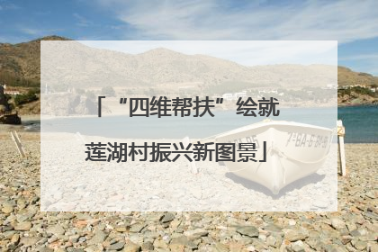“四维帮扶”绘就莲湖村振兴新图景