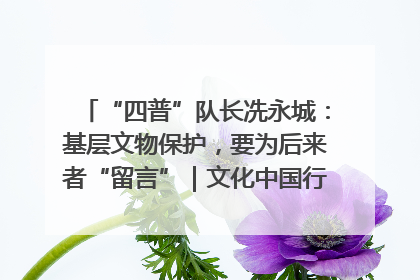 “四普”队长冼永城：基层文物保护，要为后来者“留言”｜文化中国行·我在广东找文物