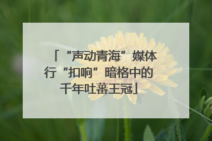 “声动青海”媒体行“扣响”暗格中的千年吐蕃王冠