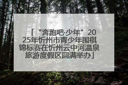 “奔跑吧·少年”2025年忻州市青少年围棋锦标赛在忻州云中河温泉旅游度假区圆满举办