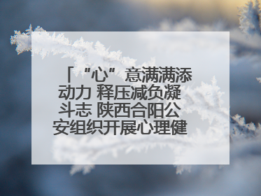 “心”意满满添动力 释压减负凝斗志 陕西合阳公安组织开展心理健康团体辅导活动