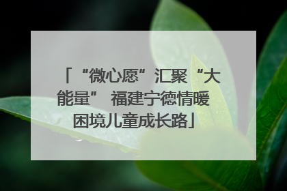 “微心愿”汇聚“大能量” 福建宁德情暖困境儿童成长路