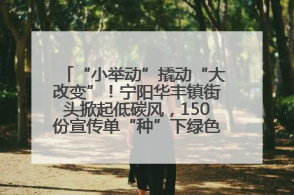 “小举动”撬动“大改变”！宁阳华丰镇街头掀起低碳风，150份宣传单“种”下绿色生活新种子