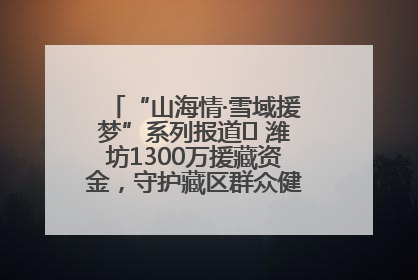 “山海情·雪域援梦”系列报道⑪ 潍坊1300万援藏资金，守护藏区群众健康“最后一公里”