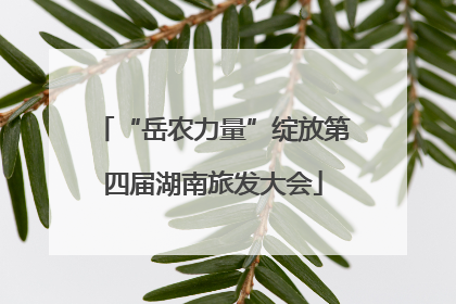 “岳农力量”绽放第四届湖南旅发大会