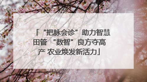 “把脉会诊”助力智慧田管 “数智”良方夺高产 农业焕发新活力