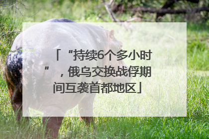 “持续6个多小时”，俄乌交换战俘期间互袭首都地区