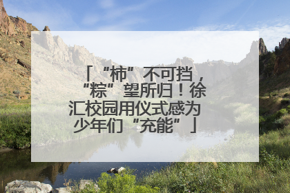 “柿”不可挡，“粽”望所归！徐汇校园用仪式感为少年们“充能”