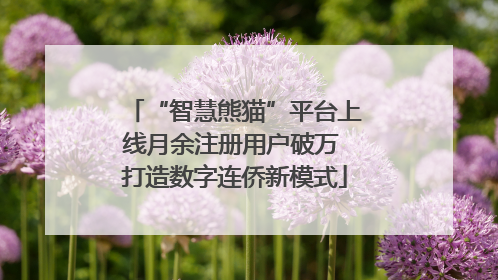 “智慧熊猫”平台上线月余注册用户破万 打造数字连侨新模式