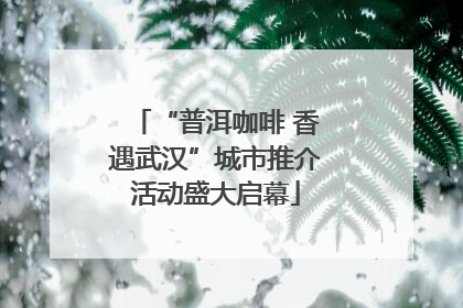 “普洱咖啡 香遇武汉”城市推介活动盛大启幕