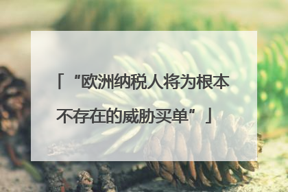 “欧洲纳税人将为根本不存在的威胁买单”