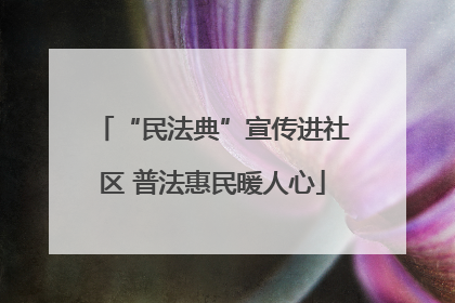 “民法典”宣传进社区 普法惠民暖人心