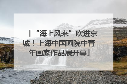“海上风来”吹进京城!上海中国画院中青年画家作品展开幕