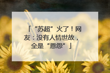 “苏超”火了！网友：没有人情世故，全是“恩怨”