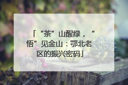 “茶”山醒绿，“悟”见金山：鄂北老区的振兴密码