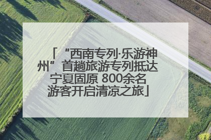 “西南专列·乐游神州”首趟旅游专列抵达宁夏固原 800余名游客开启清凉之旅