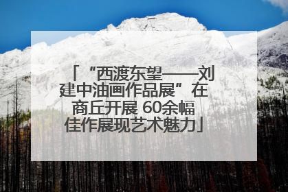 “西渡东望——刘建中油画作品展”在商丘开展 60余幅佳作展现艺术魅力