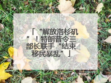 “解放洛杉矶”！特朗普令三部长联手“结束移民暴乱”