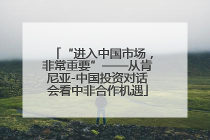 “进入中国市场，非常重要”——从肯尼亚-中国投资对话会看中非合作机遇