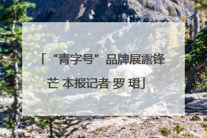 “青字号”品牌展露锋芒 本报记者 罗 珺