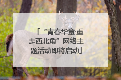 “青春华章·重走西北角”网络主题活动即将启动